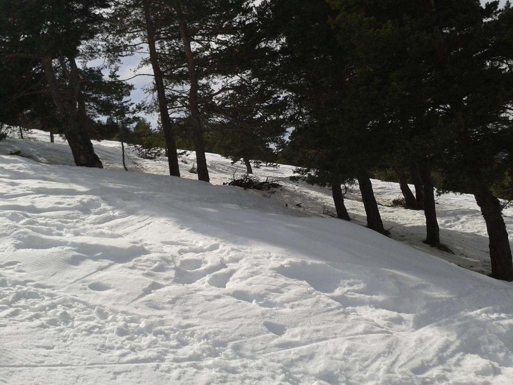 Apartment Face Aux Pistes Greolieres les Neiges Exterior foto